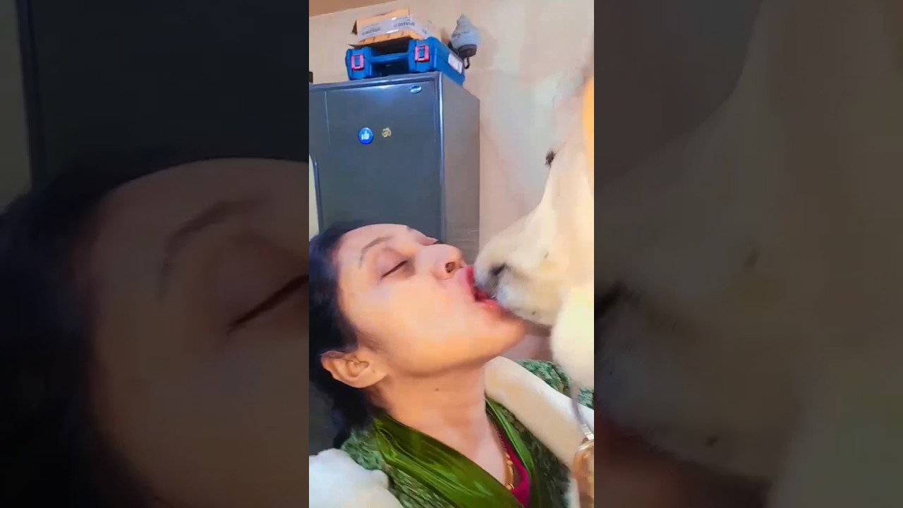 dog kiss || ham tere bin ab rah nahi sakte|| #kiss #viral #kissing #kissing_status