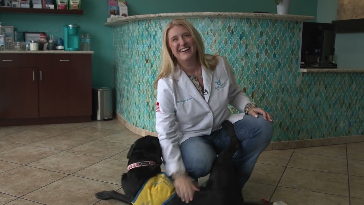 Dog Microchipping 20f3