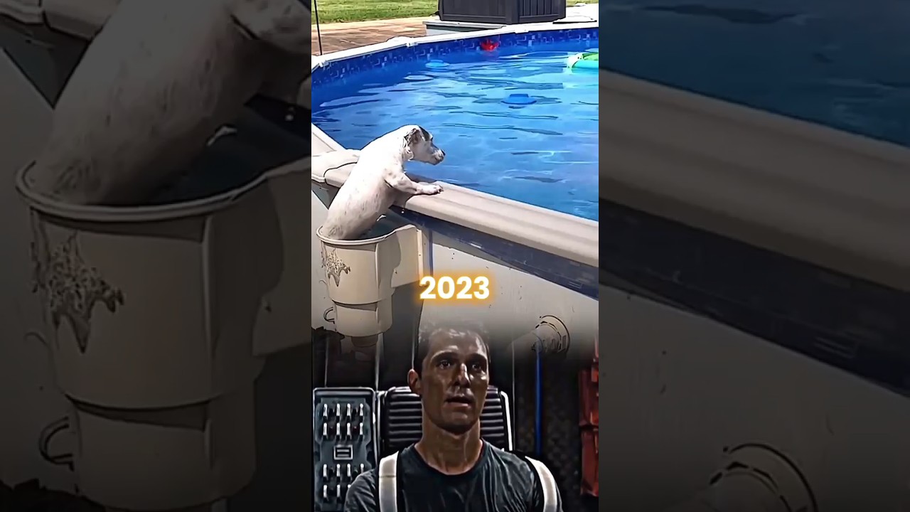 Dog Sad Moments❤️‍🩹 (try not to cry)