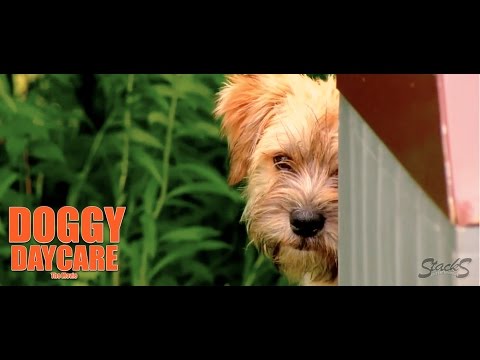 Doggy Daycare: The Movie Official Trailer HD
