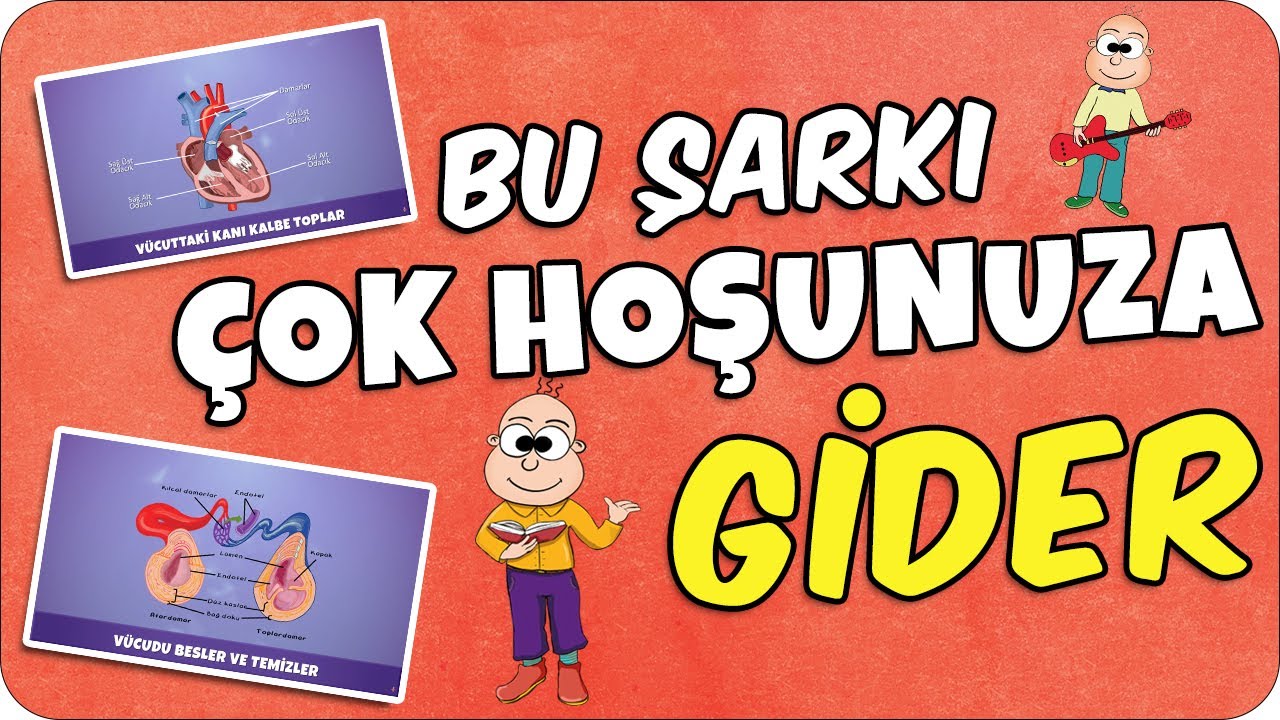 Dolaşım Sistemi Şarkısı 🎵