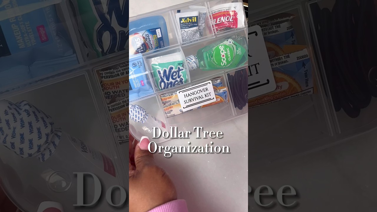 Dollar Tree Organization Hacks 🤩 #dollartree #organization #girlstrip #bachelorette #momlife #tips