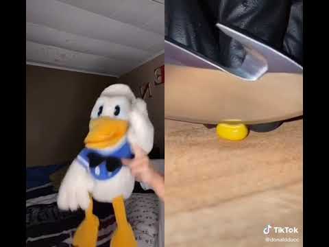 DonaldDucc: Corn or Cake