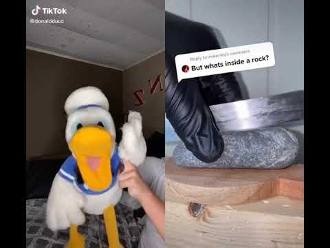 DonaldDucc: Rock or Cake