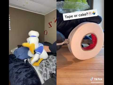 DonaldDucc: Tape or Cake