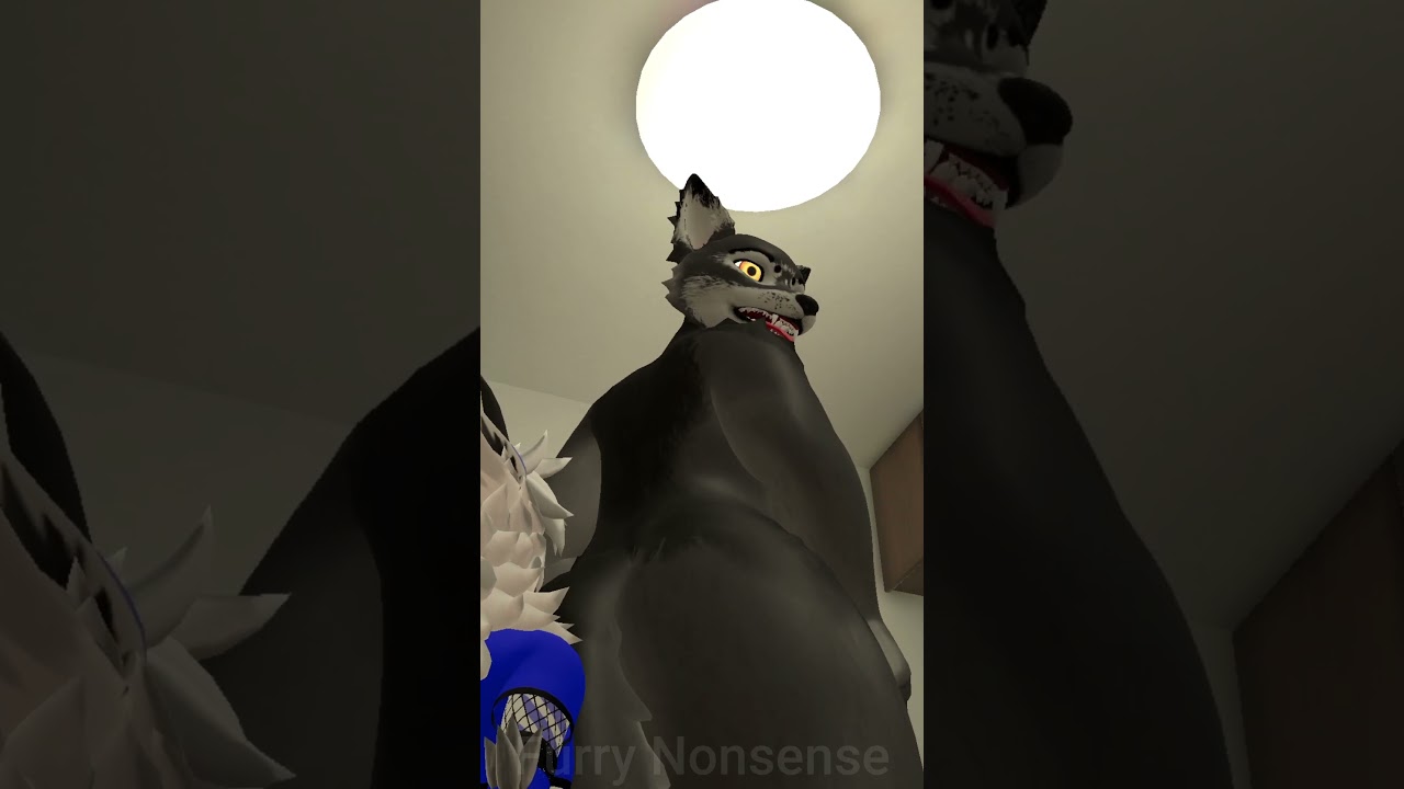 Don't Call A Dog's Butt Fat!