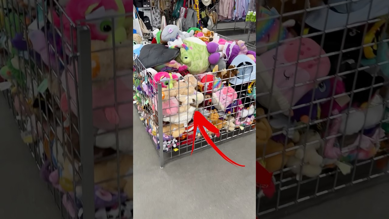 Don’t walk past this easy money at thrift stores!