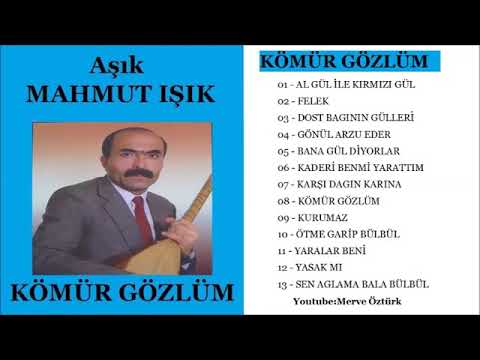 Dost baginin meyveleri