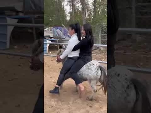 Double Pony Riding #ponyriding #horse #ponyracing #donkeyrace