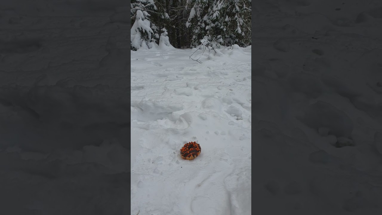Doughnut Walk Over in Flat Leather Boots