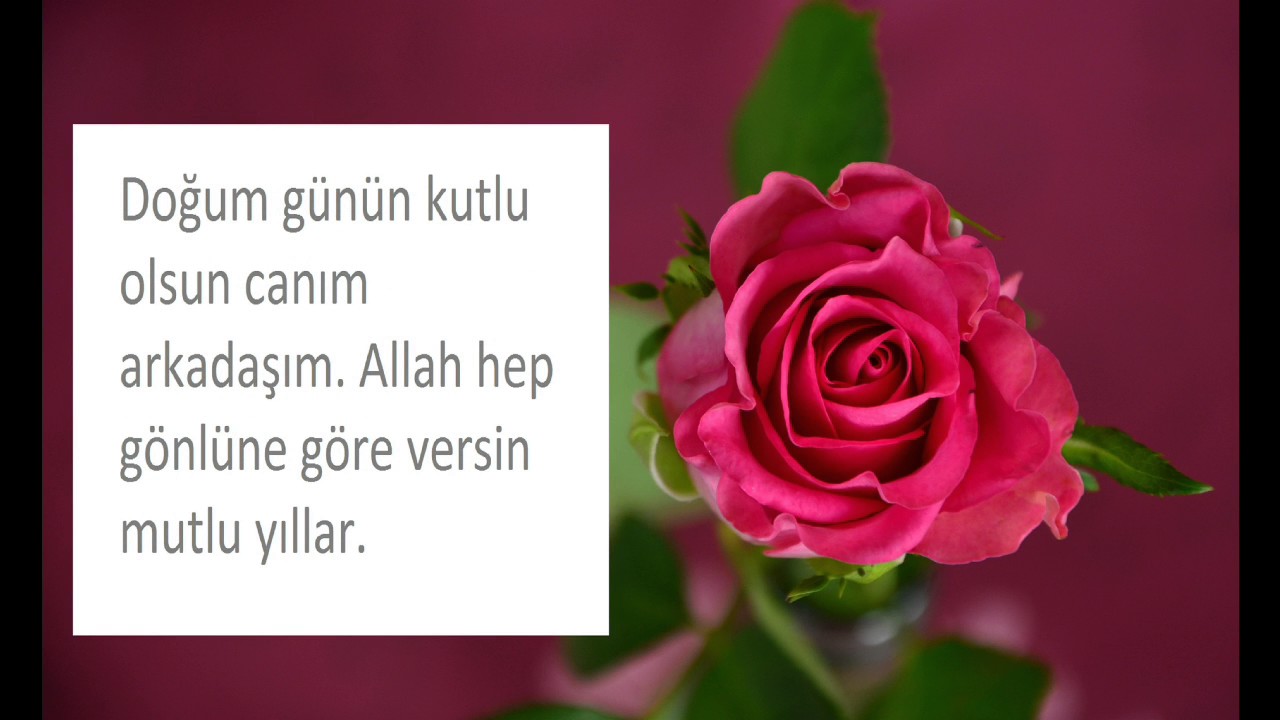 Doğum Günün Kutlu Olsun