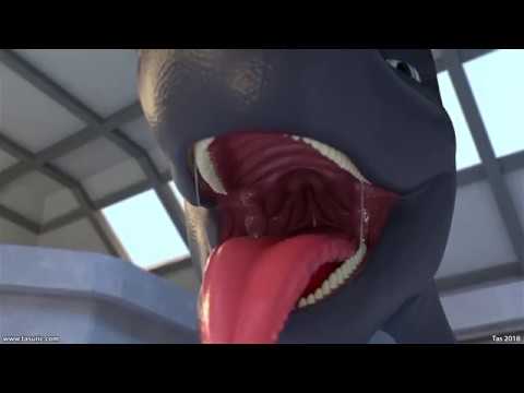 Down The Hatch - Audio