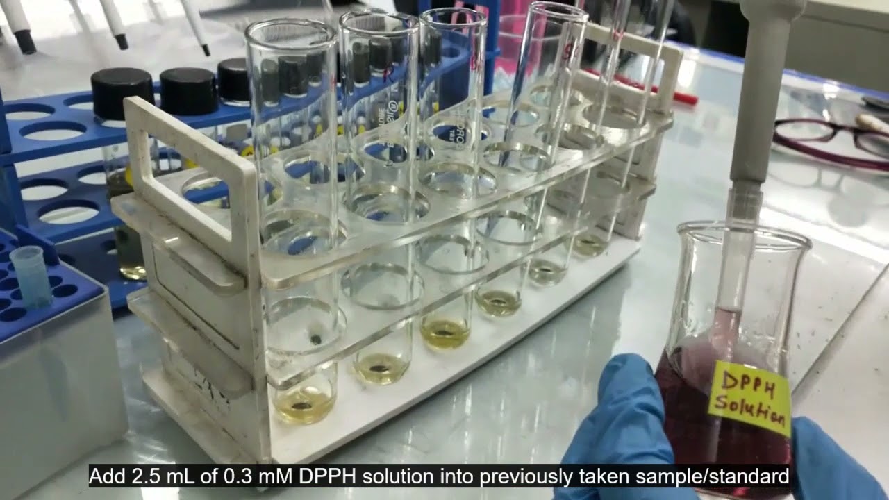 DPPH activity