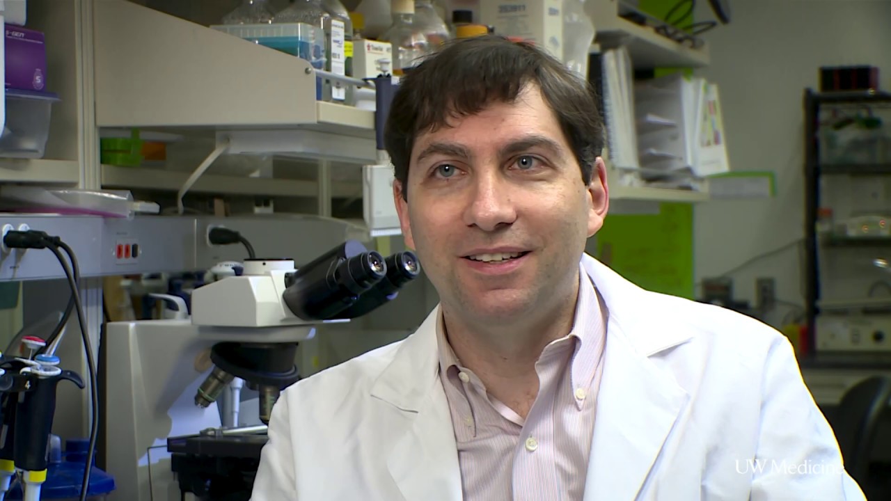 Dr. Benjamin Freedman | Stem Cells | 2018 Young Investigator Award Winner
