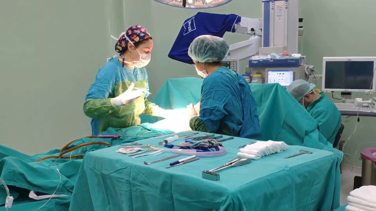 Dr Gokcen Ayyıldiz Plastic Surgeon