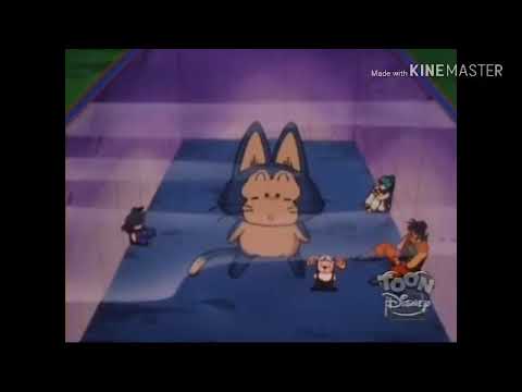 Dragon Ball on Toon Disney December 25th 2003 (Totally Real and Rare)