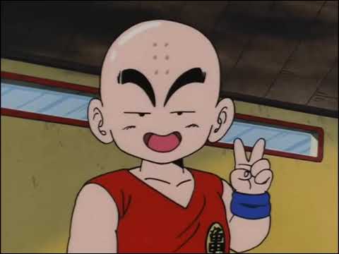 Dragon Ball's 6th Arc  The 22nd World Martial Arts Tournament