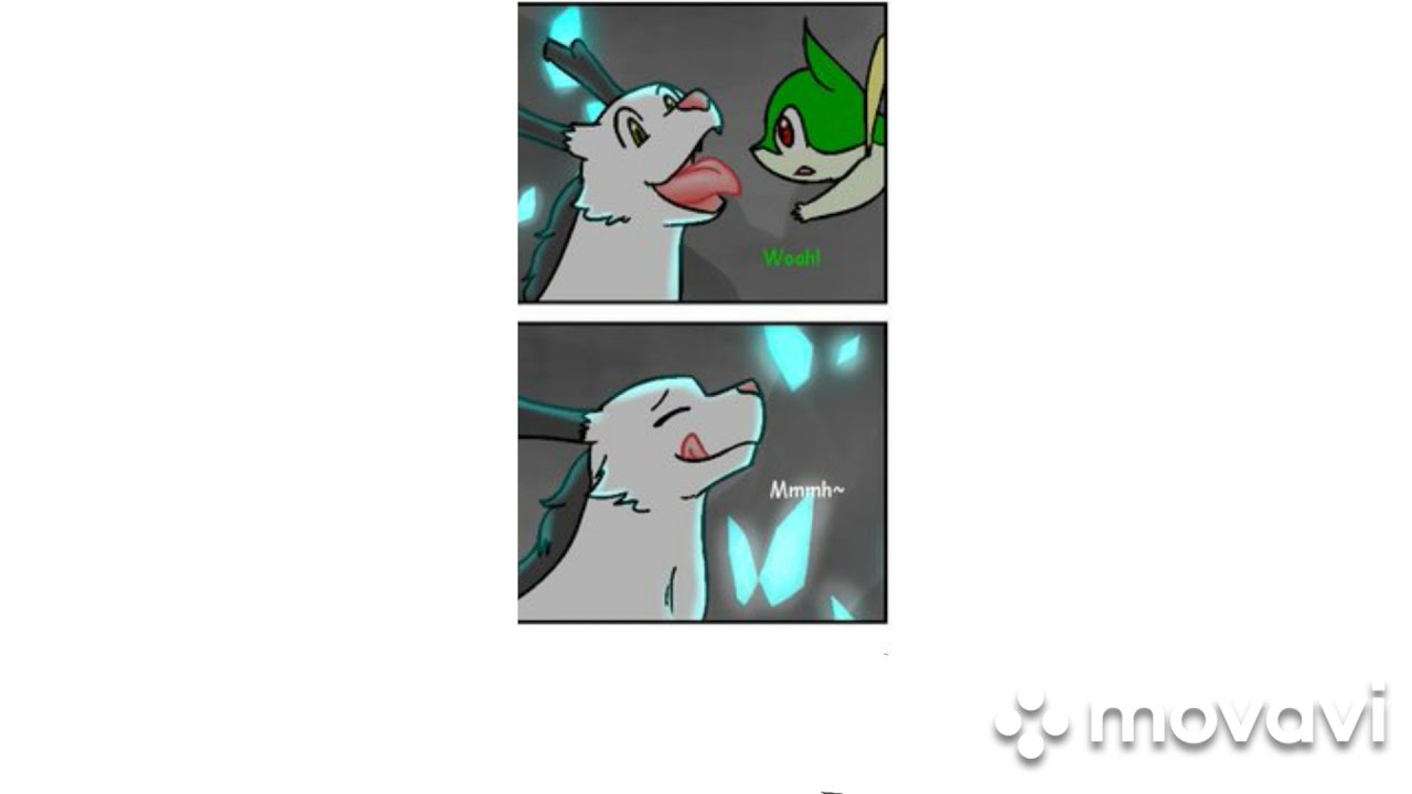 dragon cat vore #6