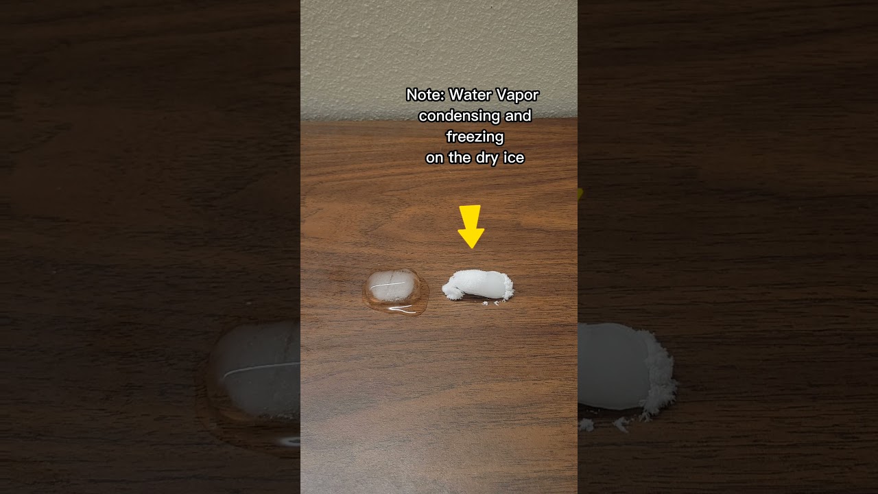 DRY ICE VS. REGULAR ICE - MELT OFF!!