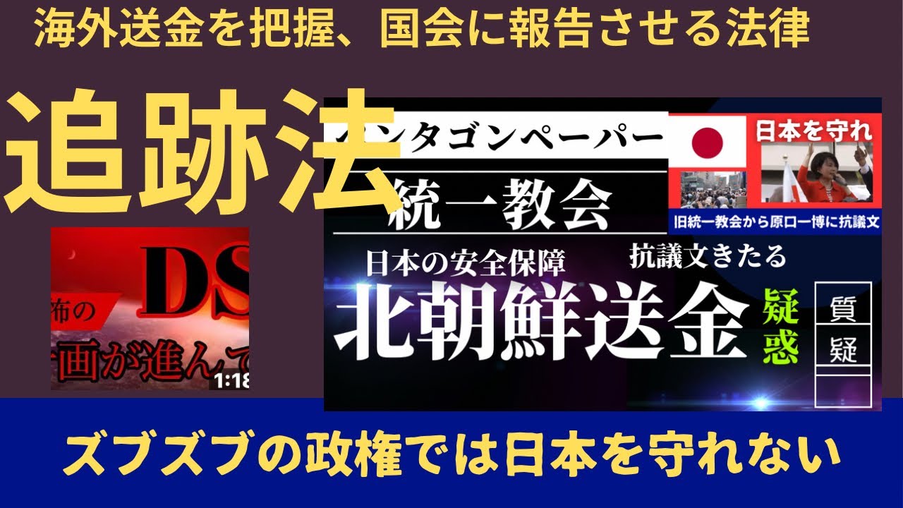 【不正送金追跡法（仮称）の制定準備】DSズブズブの政権では国民を守れない。不正送金を追跡し国会報告を義務付ける法律を準備せよ。