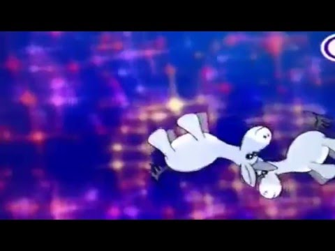 Duck tv