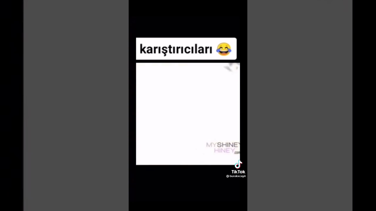dunyanin  en ise yaramaz aleti göt karıştırıcı