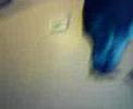 Duque chupando picole