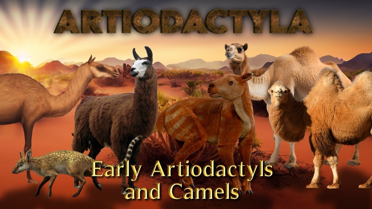 Early Artiodactyls and Camels Evolution
