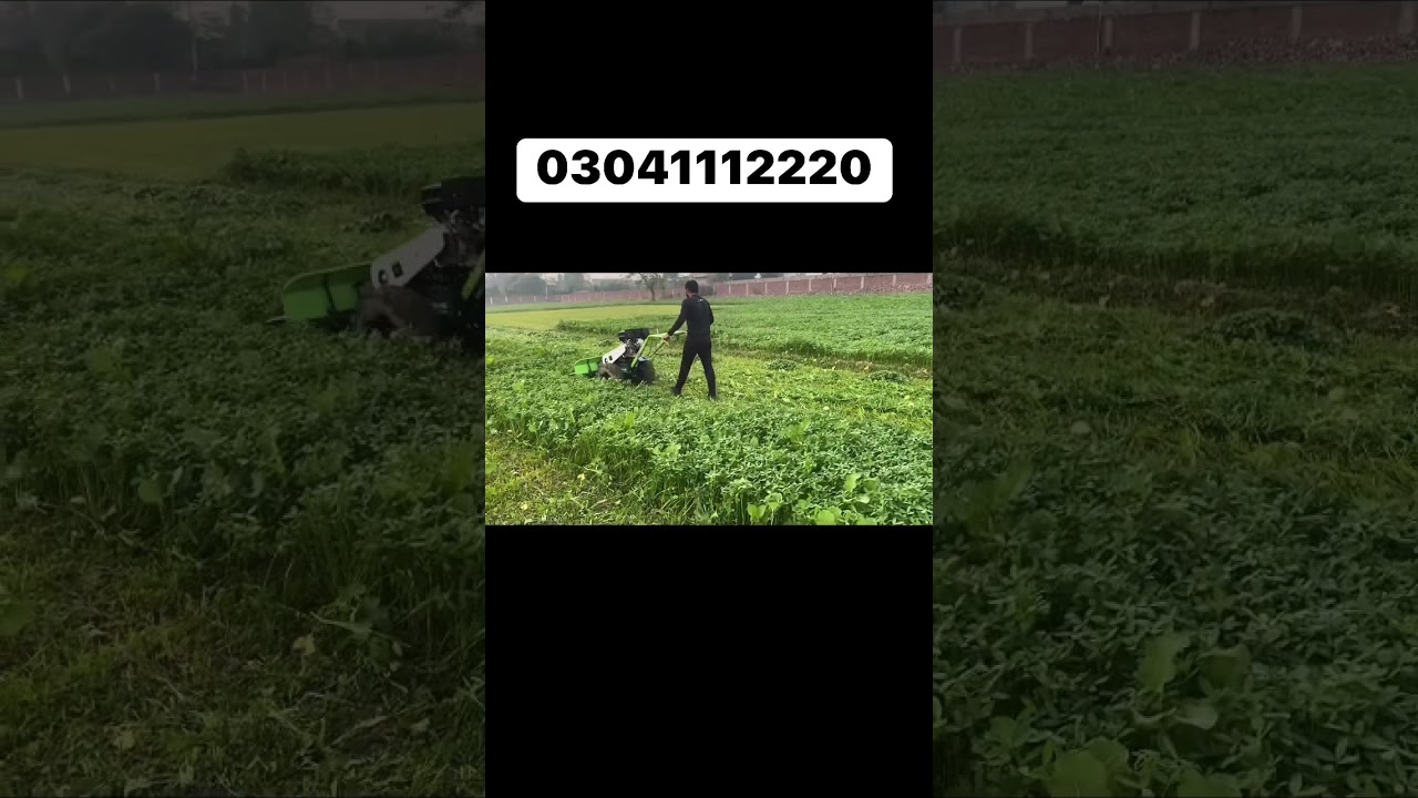 EASY AUTOMATIC CUTTER REAPER