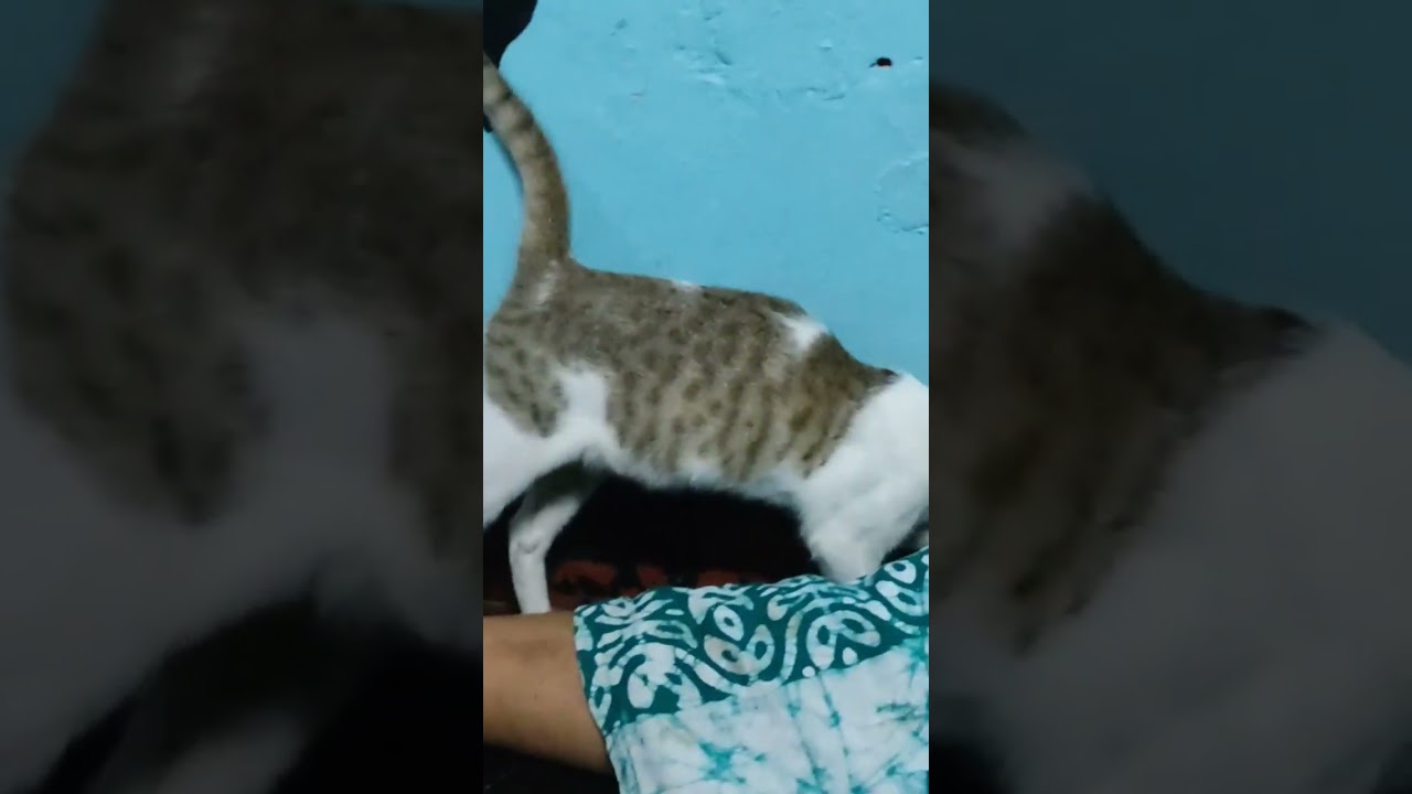 eating my mother's feet