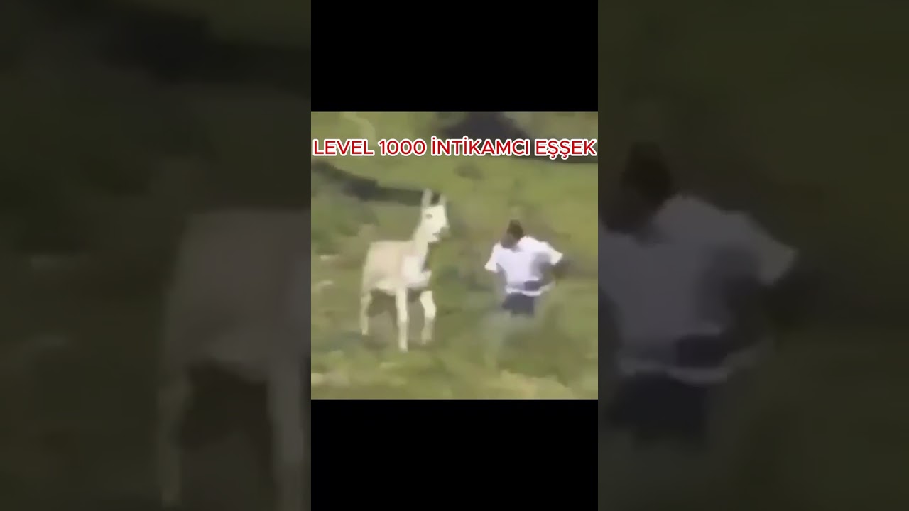 Eşeğin İntikamı
