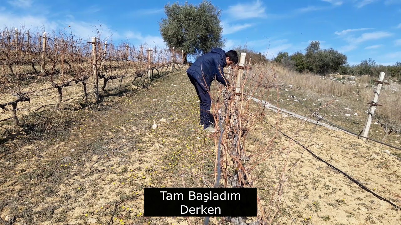 ÇEKEMEDİĞİM VİDEODAN KOMİK KESİT :D