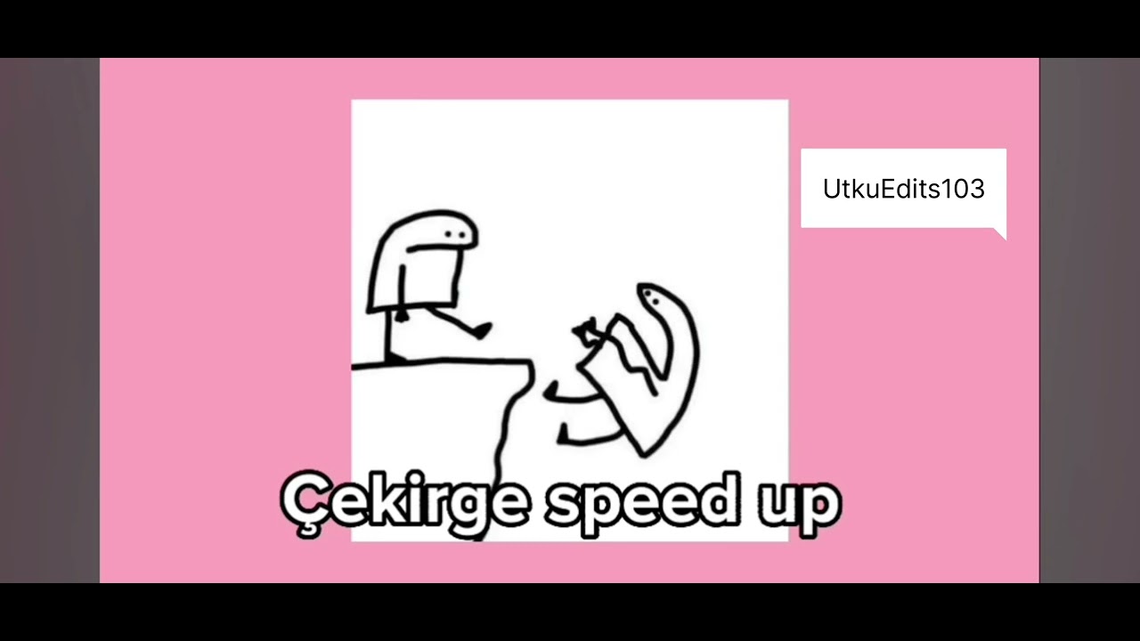 ÇEKİRGE SPEED UP