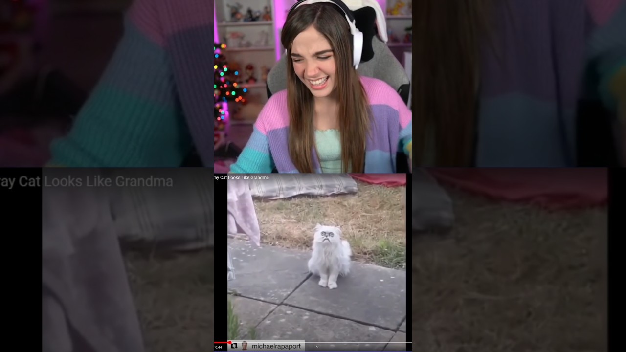 EL GATO 😂😂 #staryuuki #staryuukiii