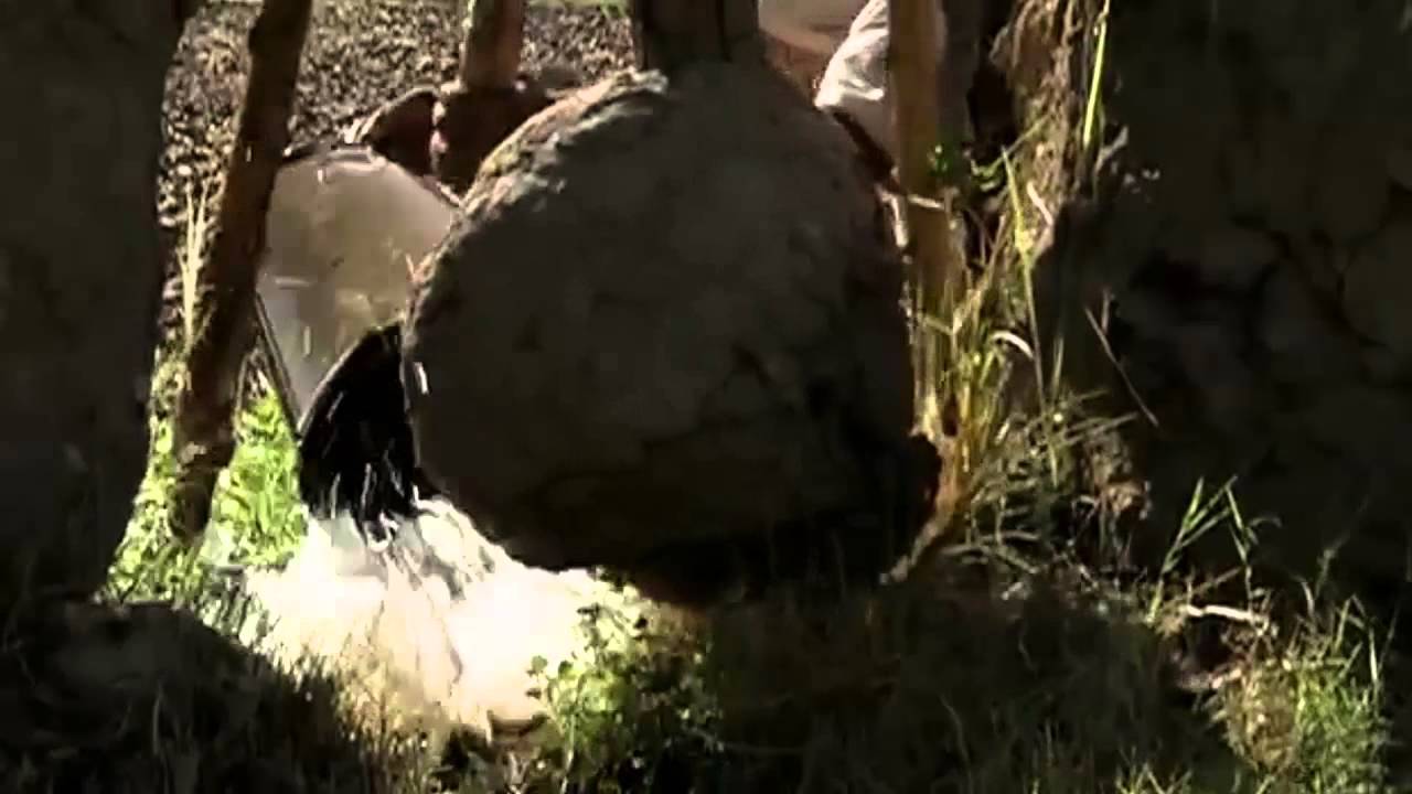 El-Cezeri - Hayatı