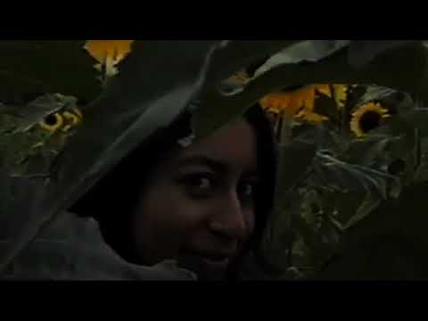 Eldar - 3 DIM ( Official Lyric Video )