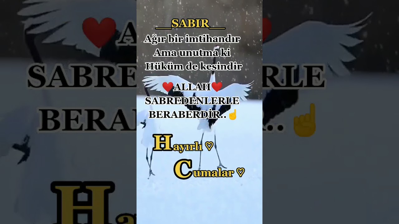 en güzel cuma videoları