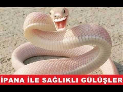 EN KOMİK CAPS'LER !!!