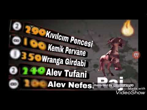 EN YENI CILLE KARTLARI