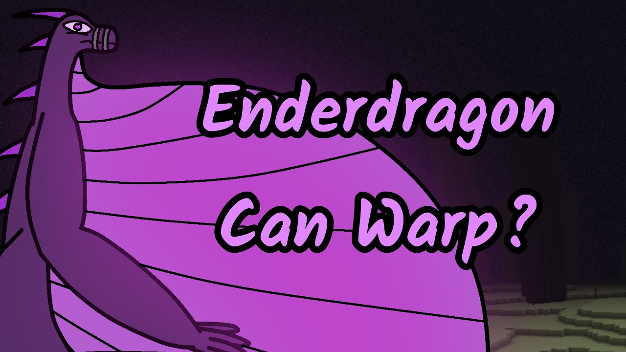 Enderdragon Can Warp?