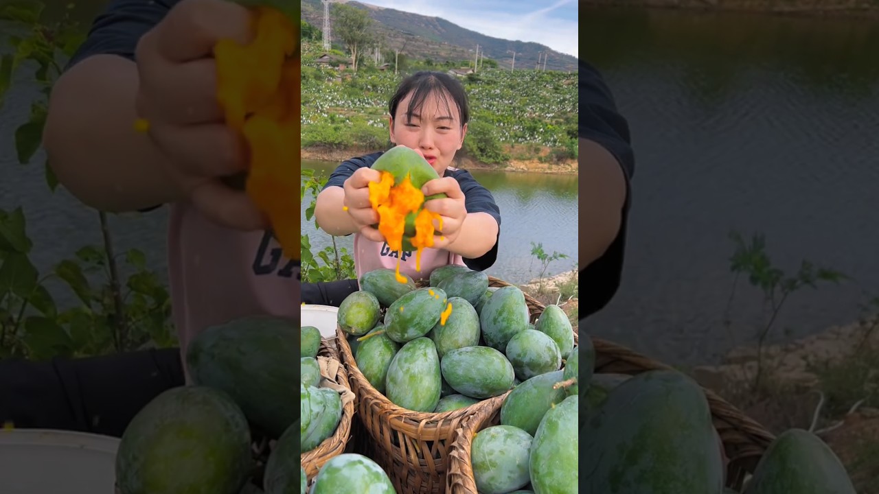 Enjoy Beautiful Crazy Mango 🥭