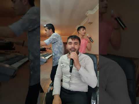 ŞENOL AKTAR Mirzeme 2021 Halay .Tik tok Akim