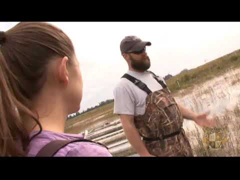 Environmental Scientist - Career Videos