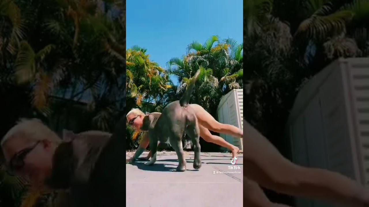 Envolver 🍑❤️‍🔥 #envolverchallenge #dancevideo #leslieshaw #anitta #inked #tattoo