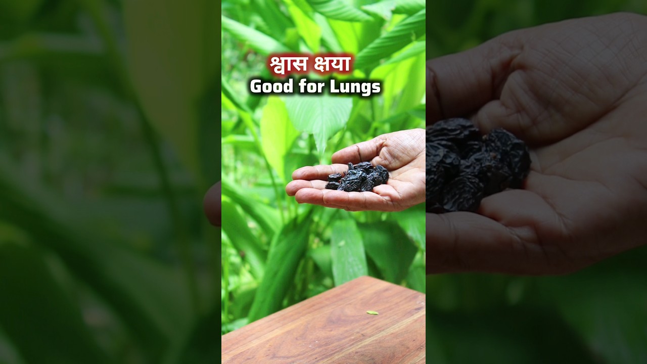 Ep-78 of Vedic Recipes (द्राक्षा फलोत्तम)💥Black Raisins Soup recipe #shorts