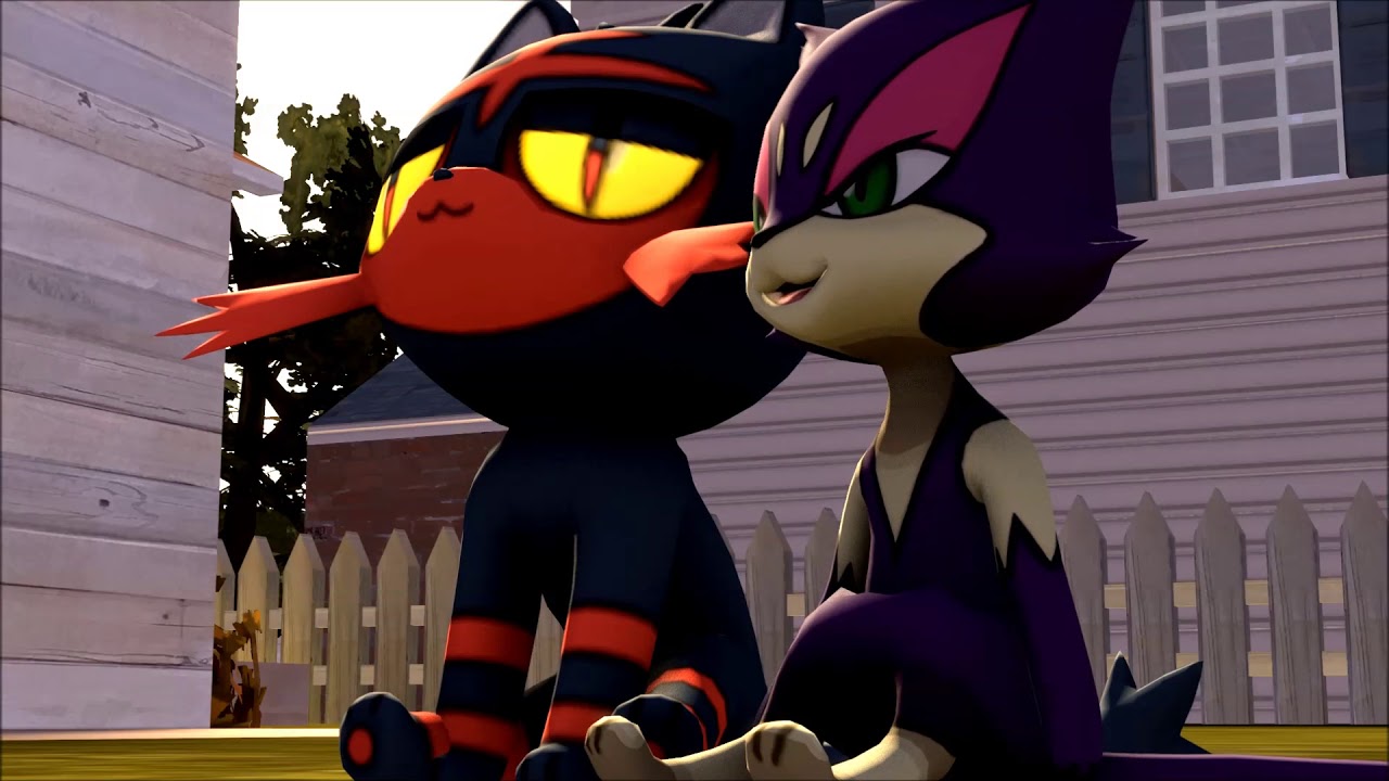 (Erafarty) cats fart play