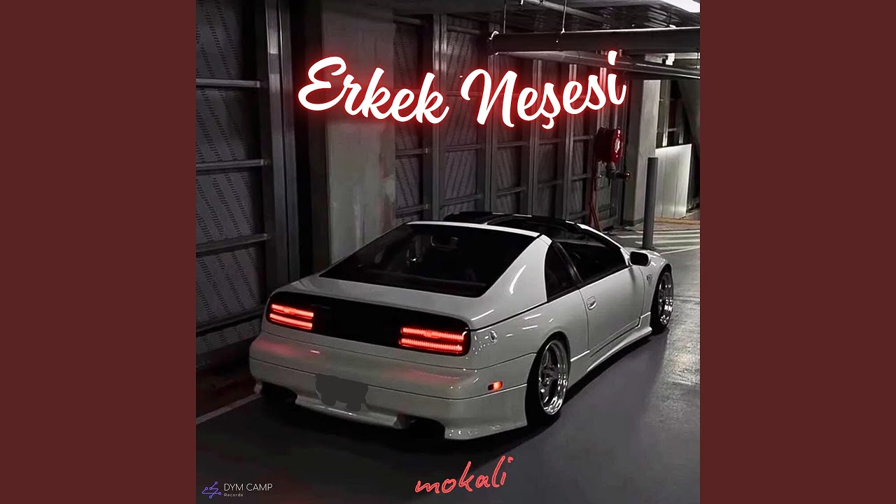 Erkek Neşesi (Tolny)