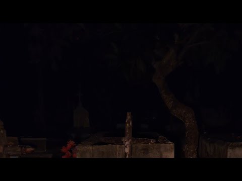 estamos en vivo