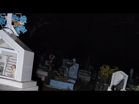 estamos en vivo