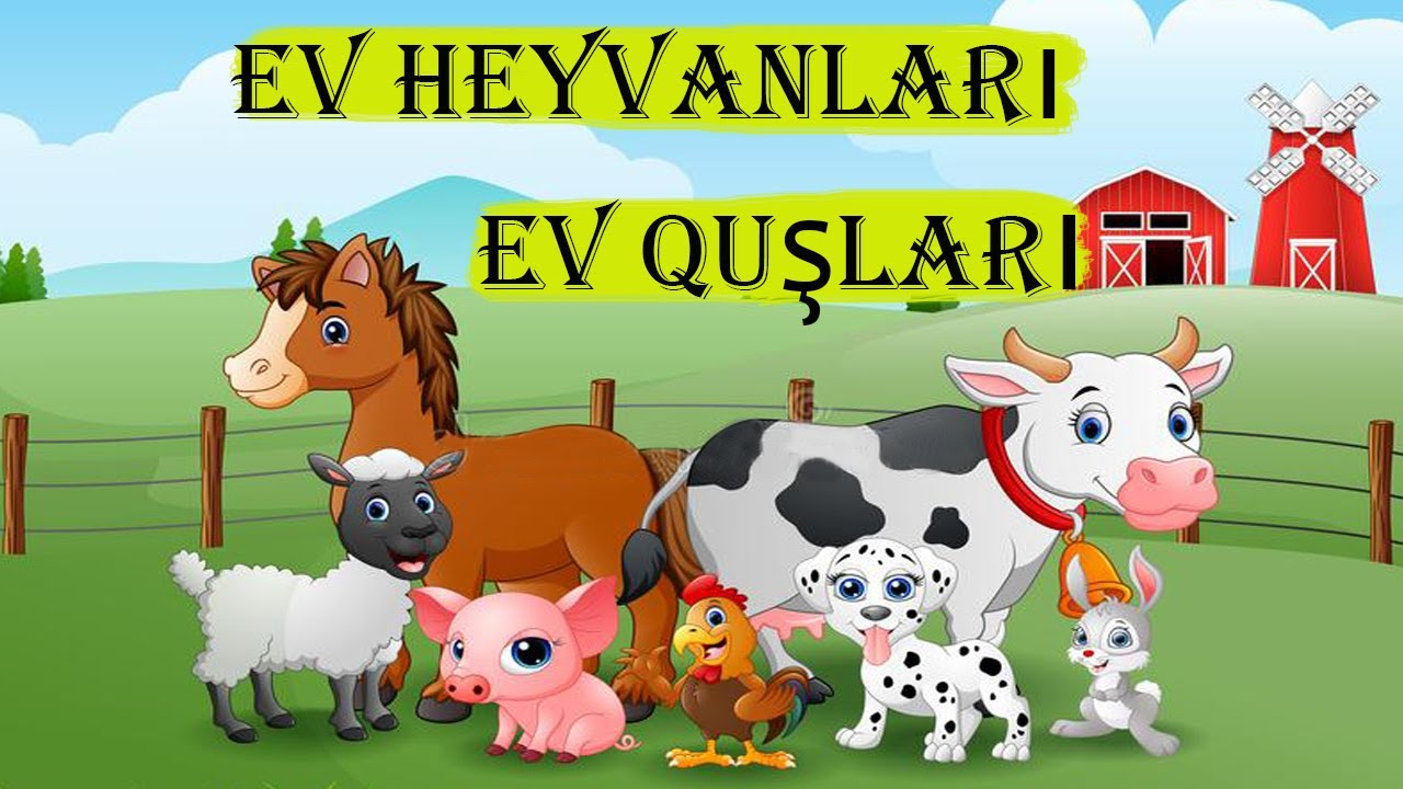 Ev Heyvanlari ve Ev Quslari (Korpe Balalar Ucun Oyredici Video)